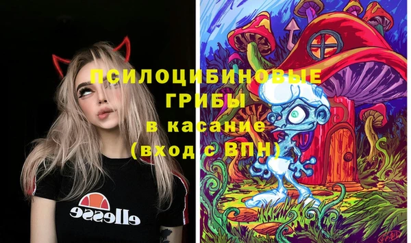 СК Волосово