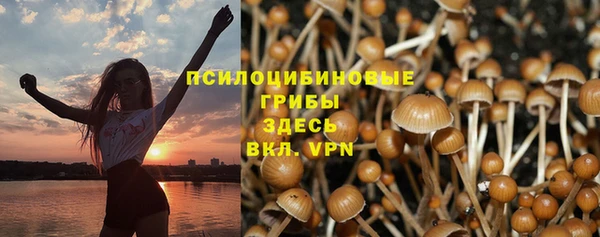 СК Волосово