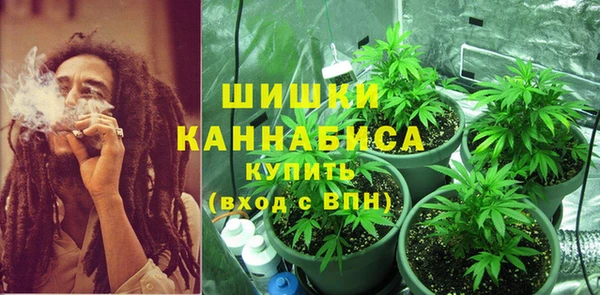 СК Волосово