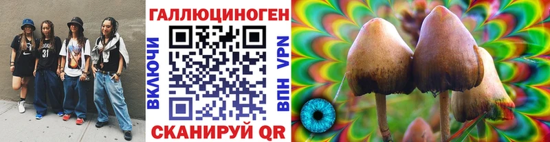 Псилоцибиновые грибы MAGIC MUSHROOMS  Безенчук 
